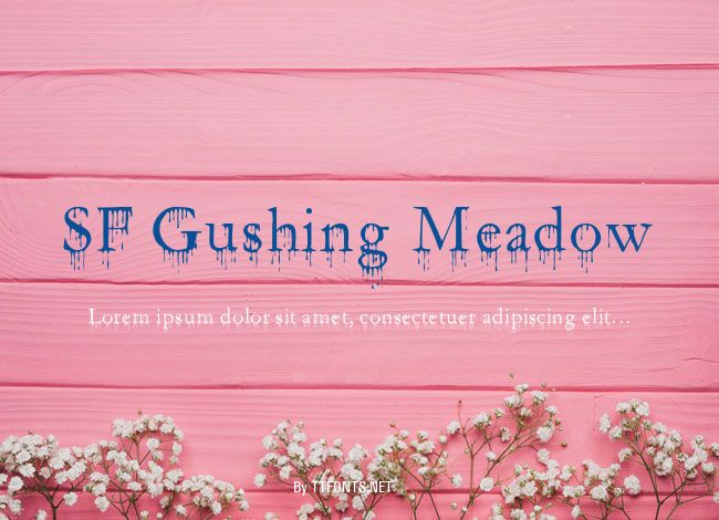 SF Gushing Meadow example